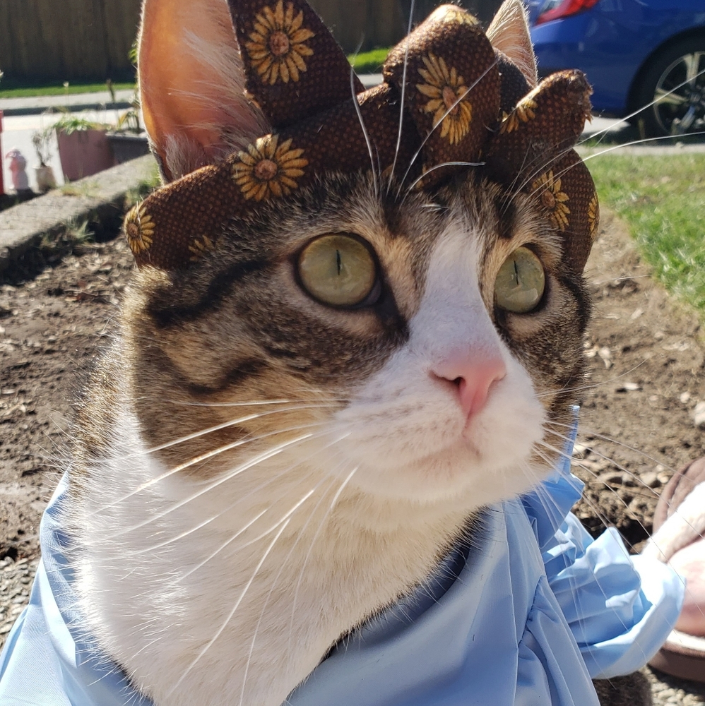 Handmade Artisan Rockabilly Wire Headband For Pets